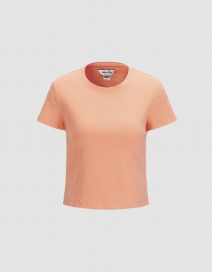 Urban Revivo Basic Fitted Women's T Shirts Light Orange | RYM248VZ