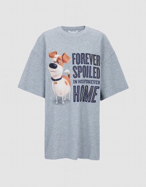 Urban Revivo The Secret Life Of Pets Oversized Women's T Shirts Yellow | EGA2433BJ